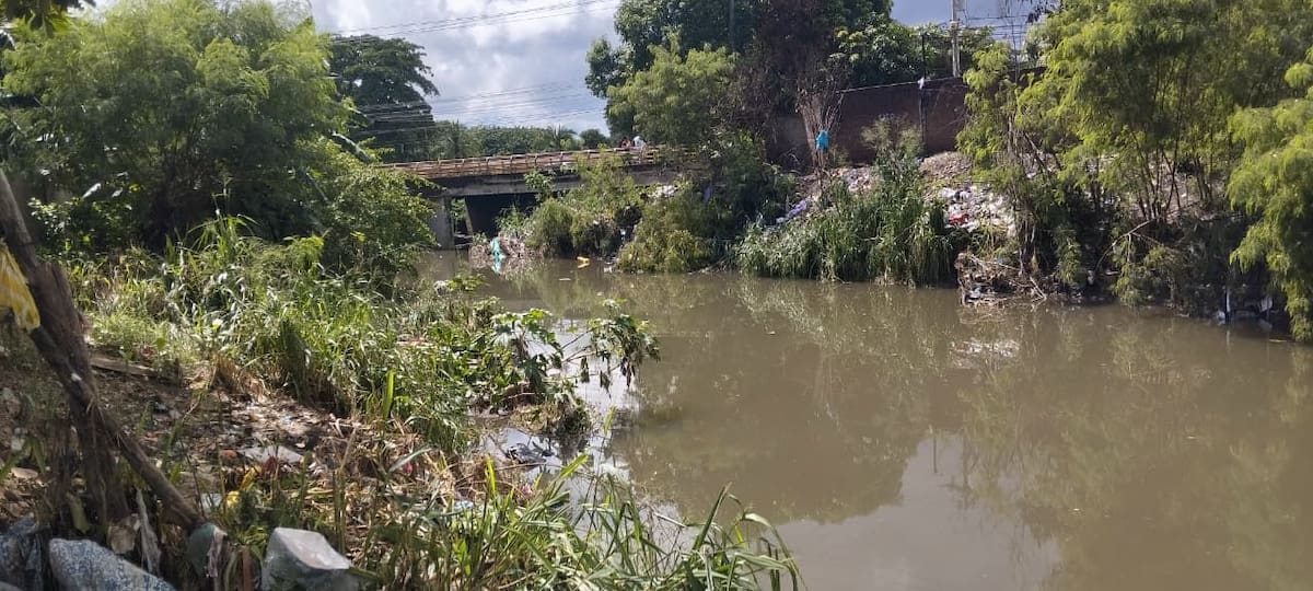 Líder de la calle Colombia, en Olaya Herrera, advirtió sobre la presencia de vegetación dentro del canal Ricaurte. // Foto: Óscar Díaz.