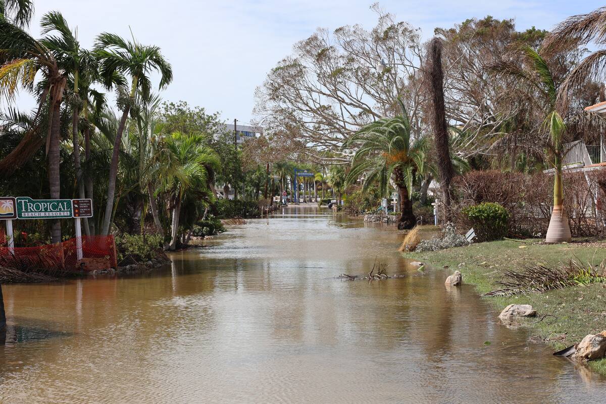 Este es el número de muertes que dejó el paso de huracán Milton en Florida