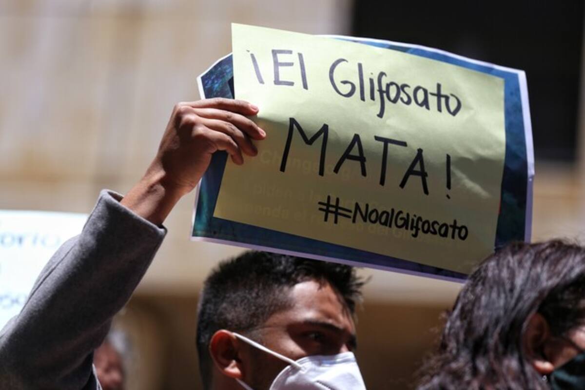 JEP llamó a exgobernadores de Nariño por casos de fumigación con glifosato