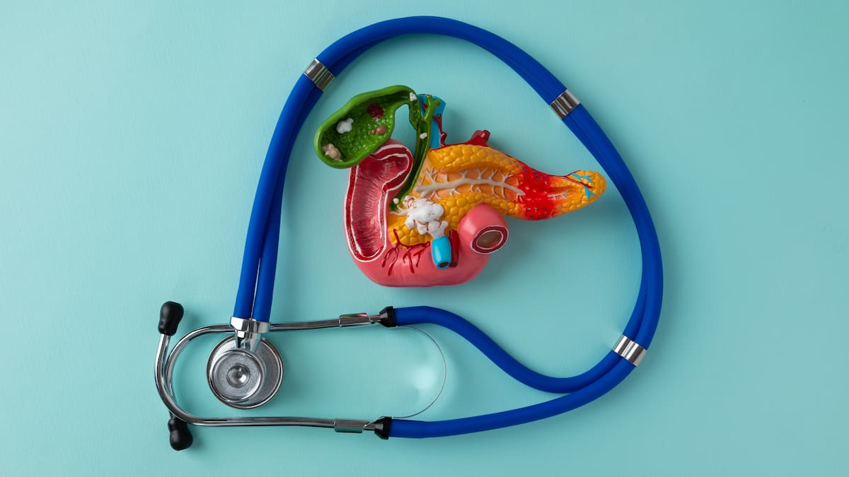 Investigadores del CNIO abren nueva esperanza frente al cáncer de páncreas. // 123RF