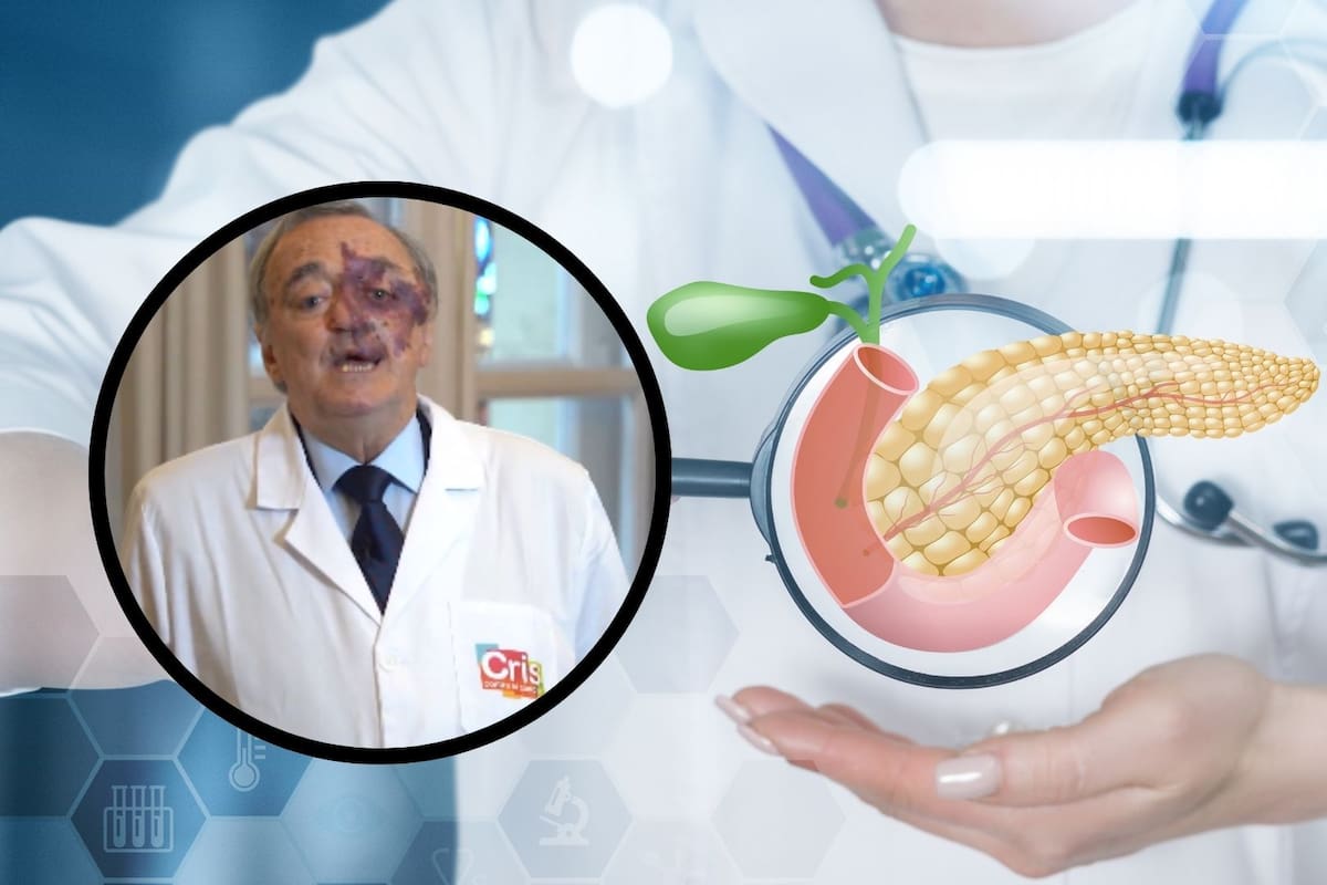 Avance histórico: científicos logran eliminar el cáncer de páncreas en ratones