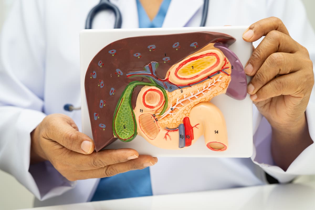 Investigadores del CNIO abren nueva esperanza frente al cáncer de páncreas. // 123RF
