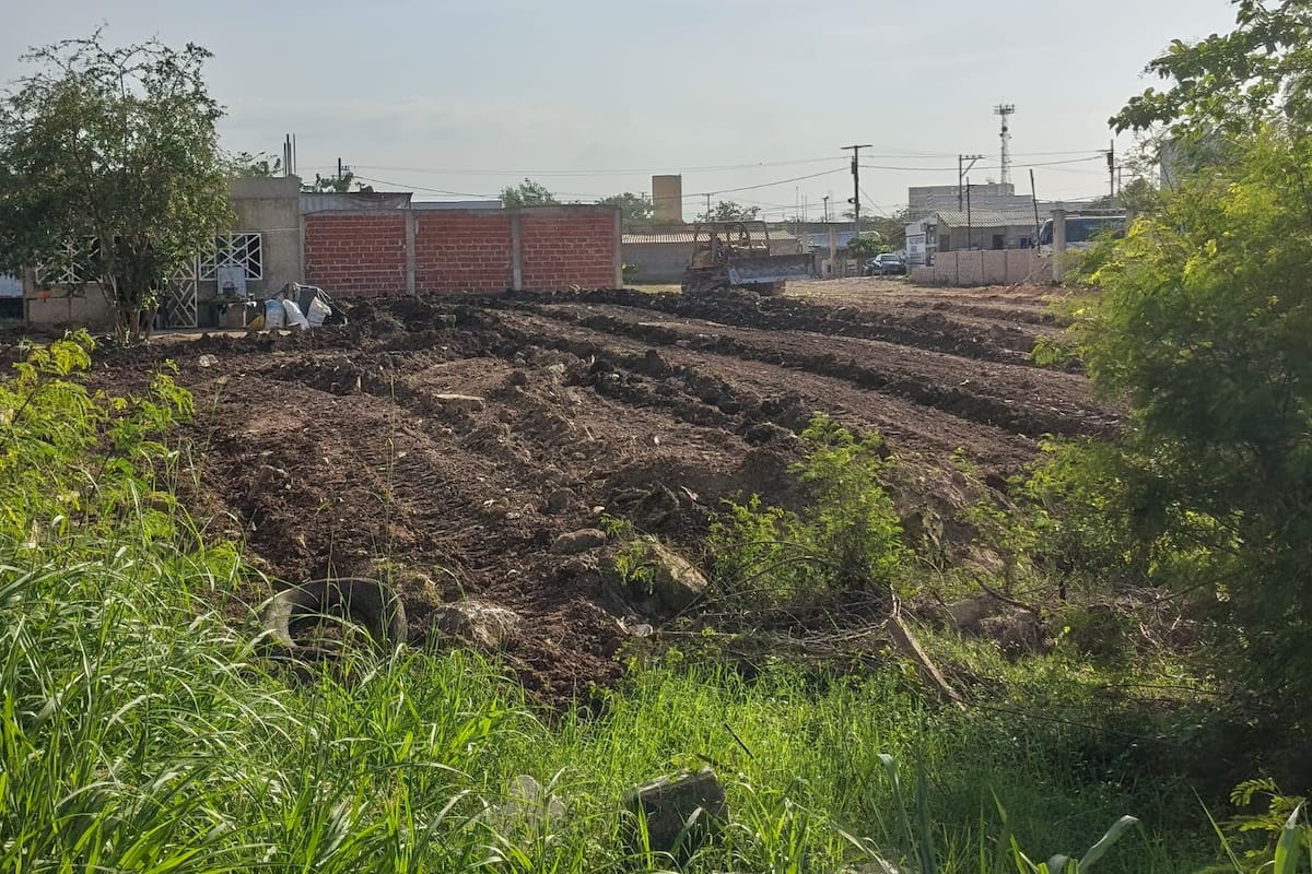 Autoridades en Cartagena suspenden obras que no contaban con permiso ambiental