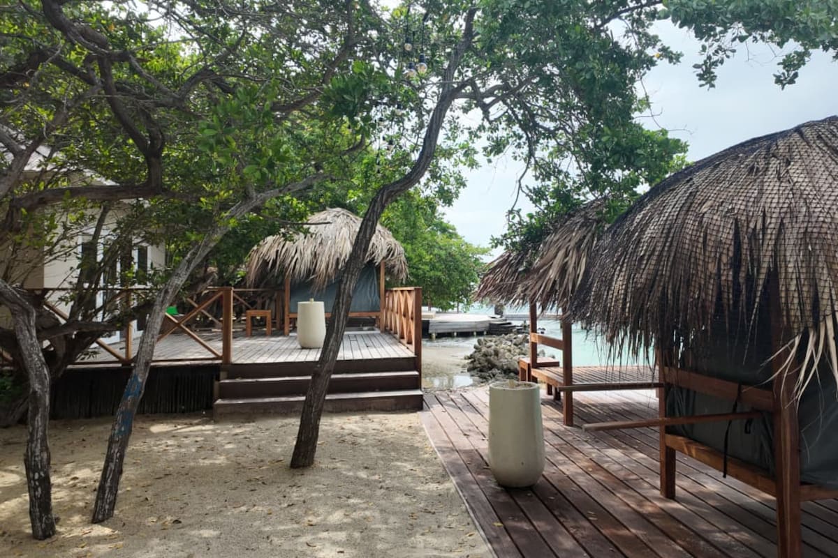 Esta es la isla que recuperó la SAE en Cartagena tras 20 años oculta