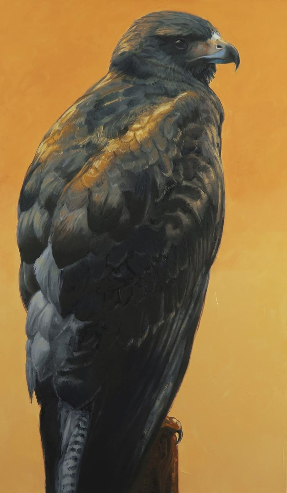 Pinturas de Jaime Carrasquilla que se exhiben hoy en la retrospectiva presentada en el Museo de Arte Moderno de Cartagena Enrique Grau. // Cortesía- Jaime Carrasquilla