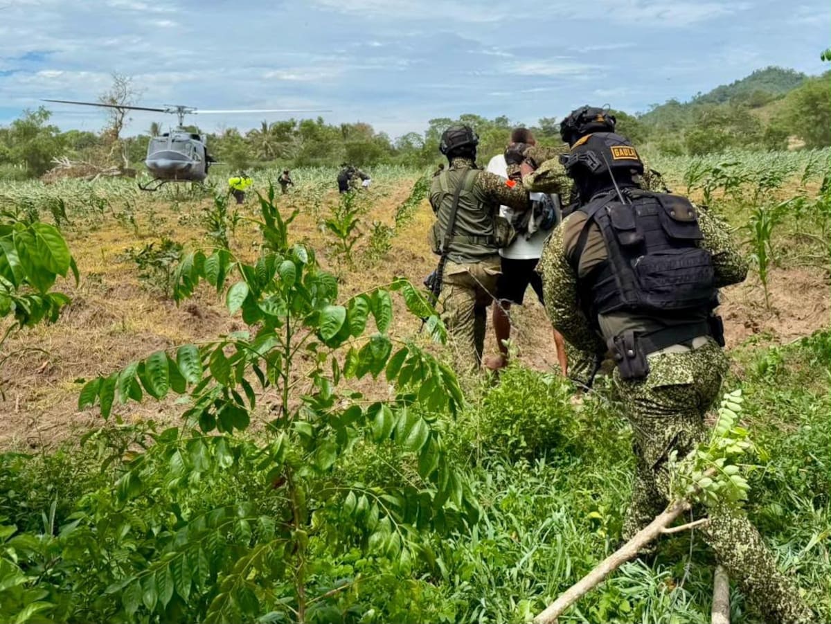 Alias ‘Julián’ o ‘Pato’ es trasladado por las autoridades tras ser capturado en un operativo contra el Clan del Golfo en El Carmen de Bolívar. //FOTO: ARMADA NACIONAL.