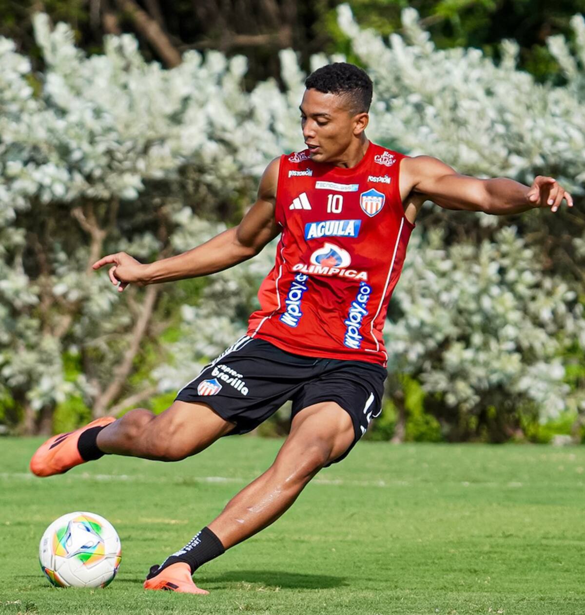 El técnico o Alfredo Arias no contará con Jordan Barrera para el partido ante Deportivo Cali ante su posible traspaso al fútbol brasileño.//Cortesía.