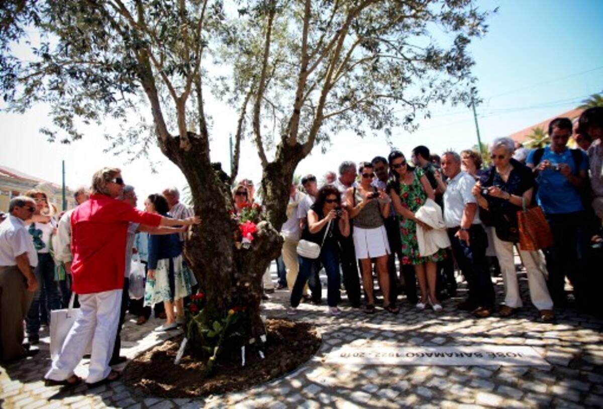 Árbol de olivo donde descansan los restos de José Saramago. AFP PATRICIA DE MELO MOREIRA