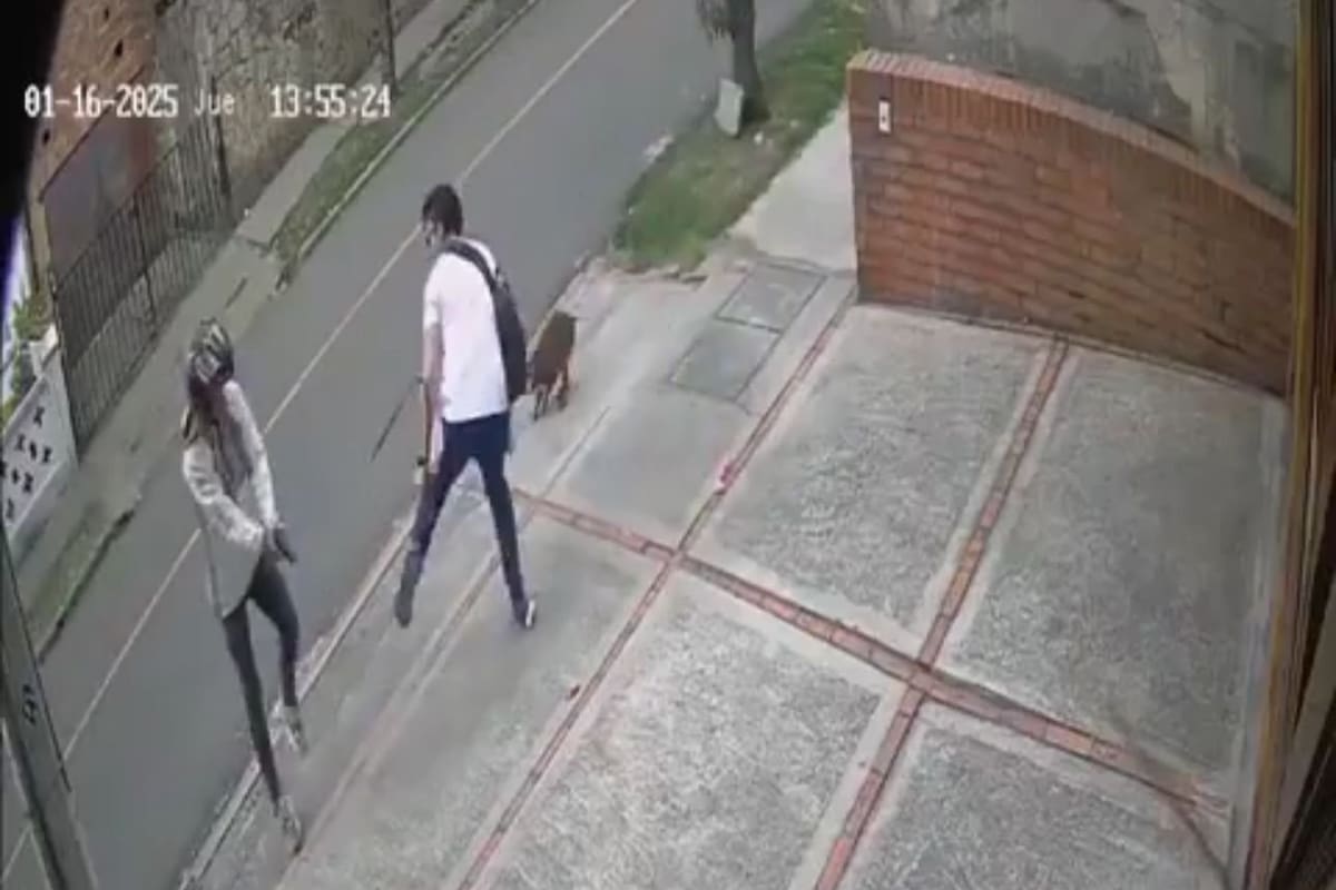 Joven recibió 3 disparos cuando caminaba con su mascota en Bogotá