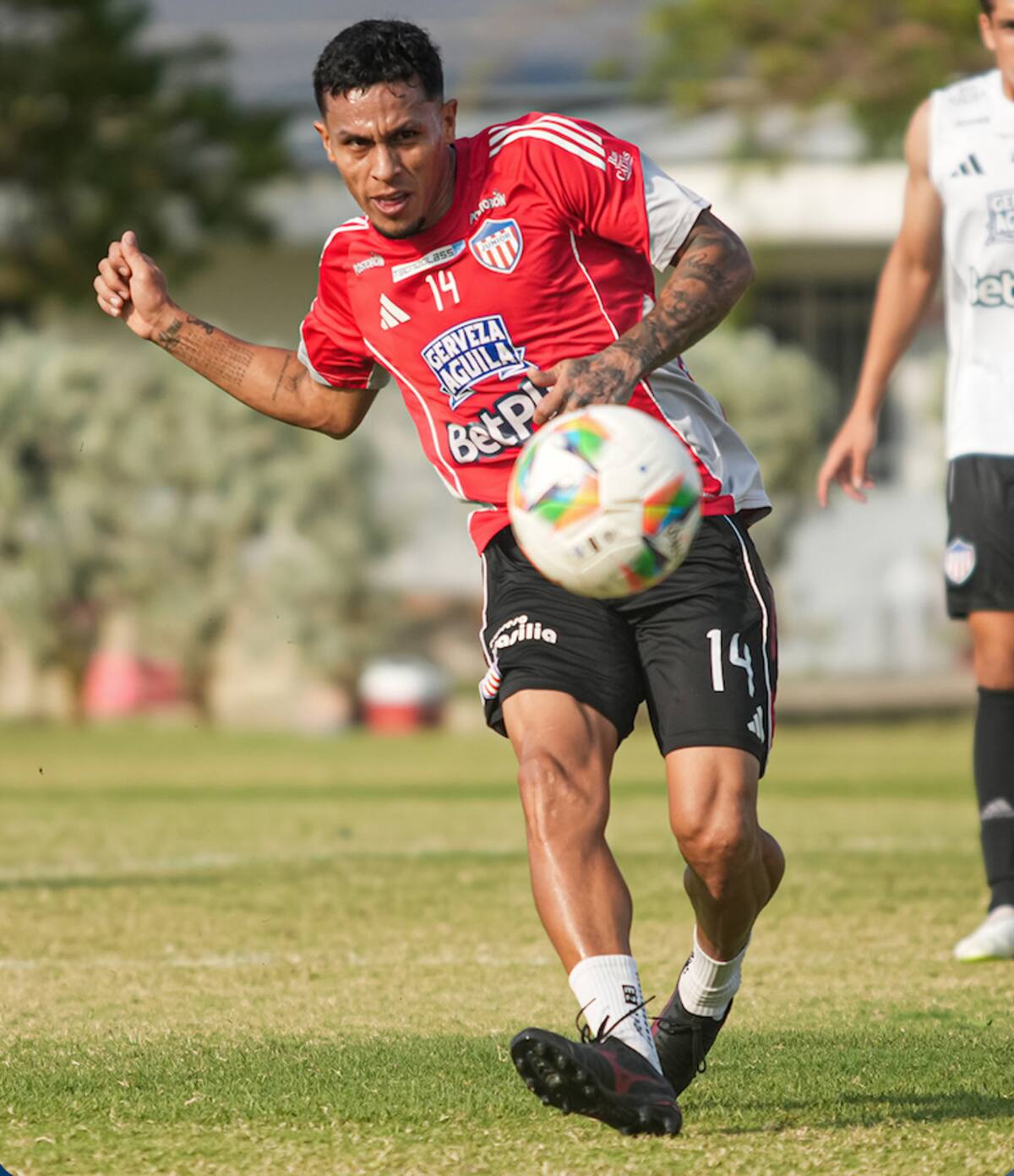 Juan David Ríos, está entre los convocados por Junior para el partido de este martes ante Atlético Nacional por la Liga BetPlay Dimayor.//Cortesía @JuniorClubSA.