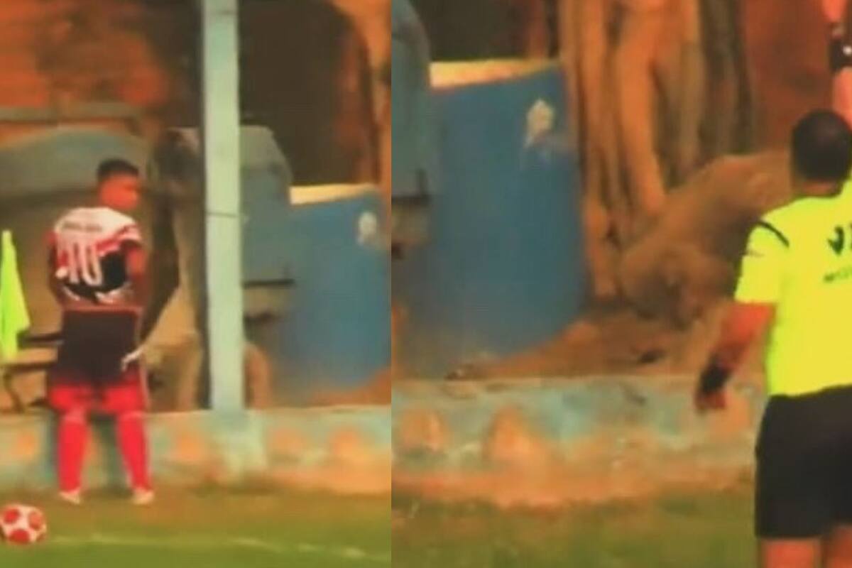 ¡Insólito! Jugador salió expulsado después de orinar en pleno partido