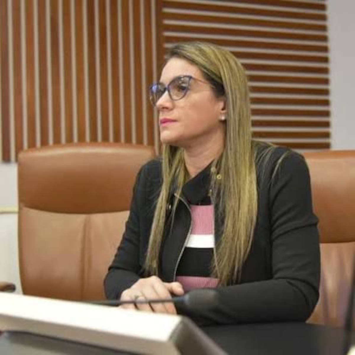 La diputada del partido Cambio Radical, Karen Cure, hizo señalamientos al alcalde de Cartagena, Dumek Turbay Paz, en una sesión de la Asamblea Departamental de Bolívar, el 19 de enero pasado. // Foto: Cortesía.