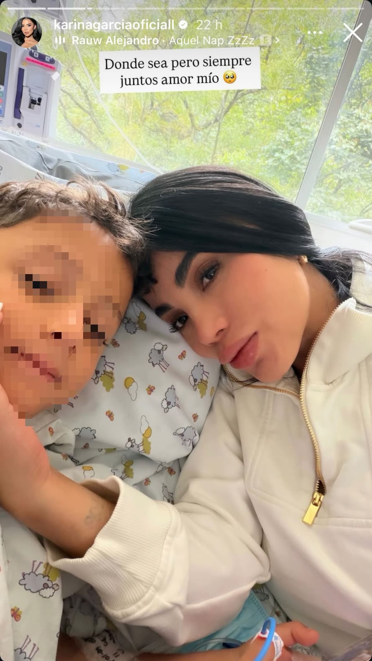 La influenciadora preocupó a sus seguidores al revelar que el menor necesitó atención médica. Su hija Isabella Vargas confirmó que ya se encontraba mejor.// Foto tomada de IG: @karinagarciaoficiall
