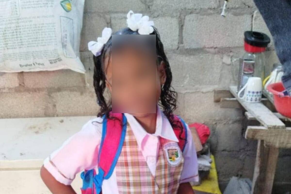 Niña, de 8 años, murió al ser atropellada por camión de gaseosas