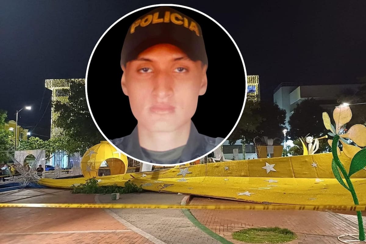 Árbol de Navidad gigante le cayó a un auxiliar de Policía y lo mató