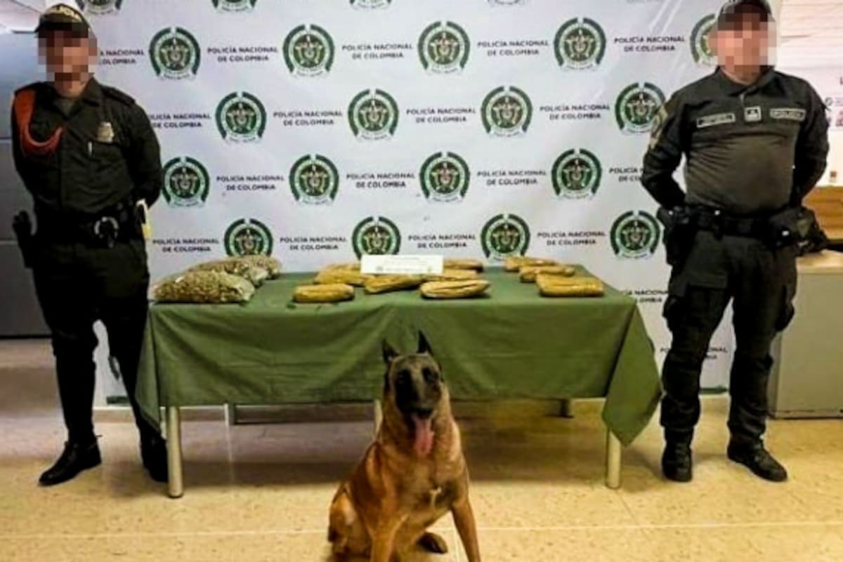 En una “narco-encomienda”, ‘Killer’ descubrió 6 kilos de droga en una bodega en El Bosque