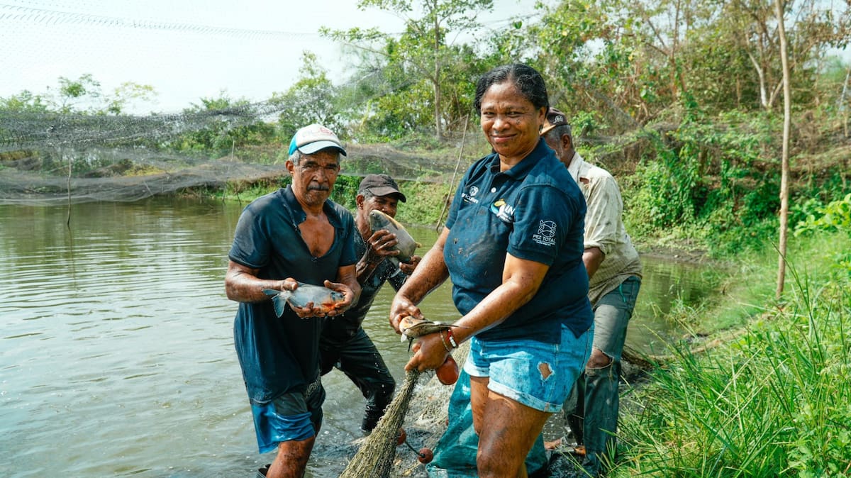 La campaña Santo Pescao beneficia a varios municipios bolivarenses. // Foto: cortesía - Campaña Santo Pescao