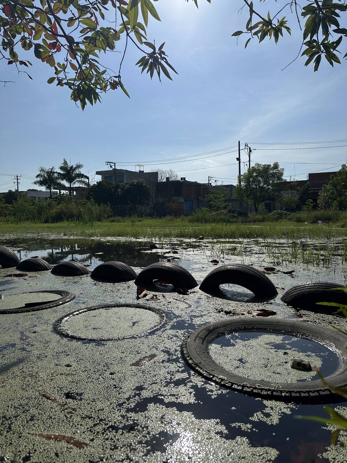 La cancha está totalmente inundada y hoy parece una laguna. // Foto: Carlos Torres - El Universal