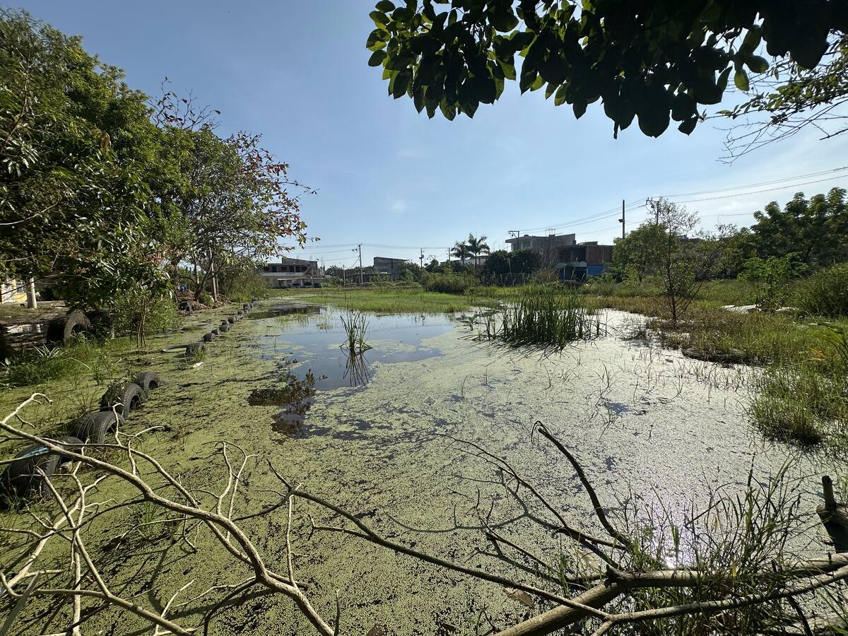La cancha está totalmente inundada y hoy parece una laguna. // Foto: Carlos Torres - El Universal