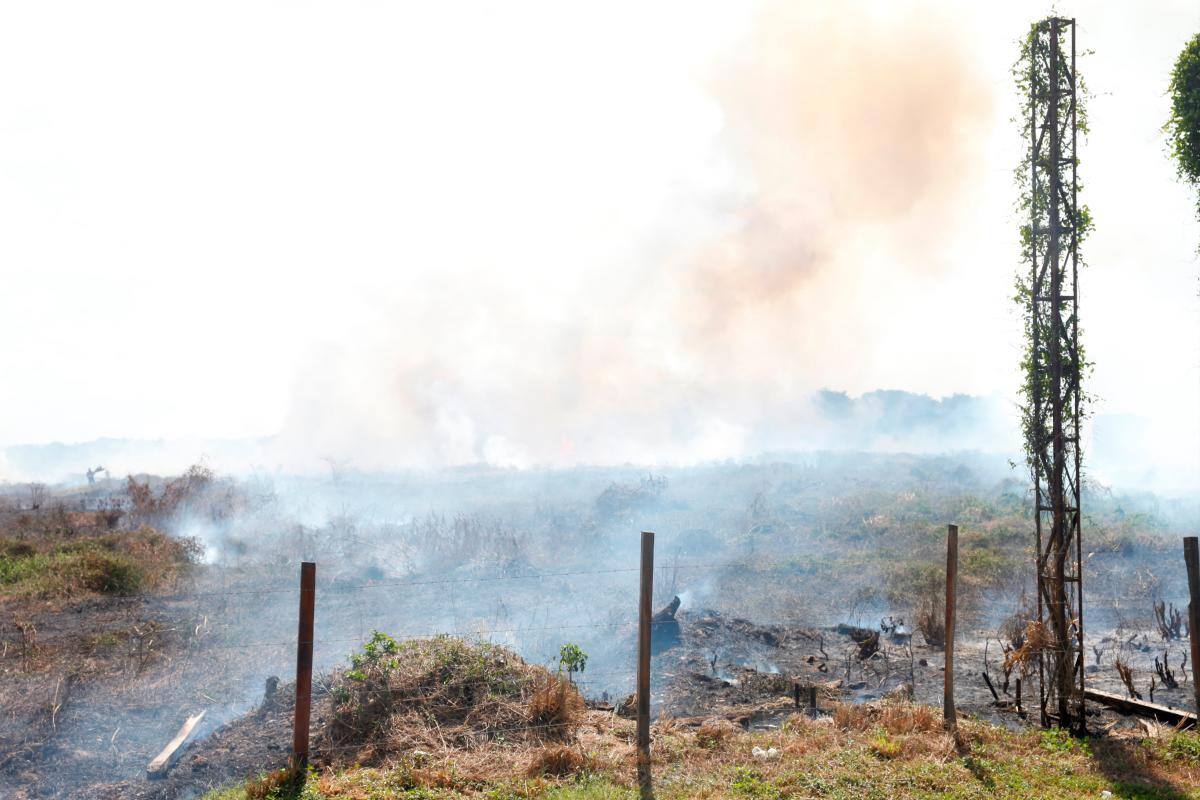 Van 38 incendios forestales en Cartagena en lo corrido del 2022