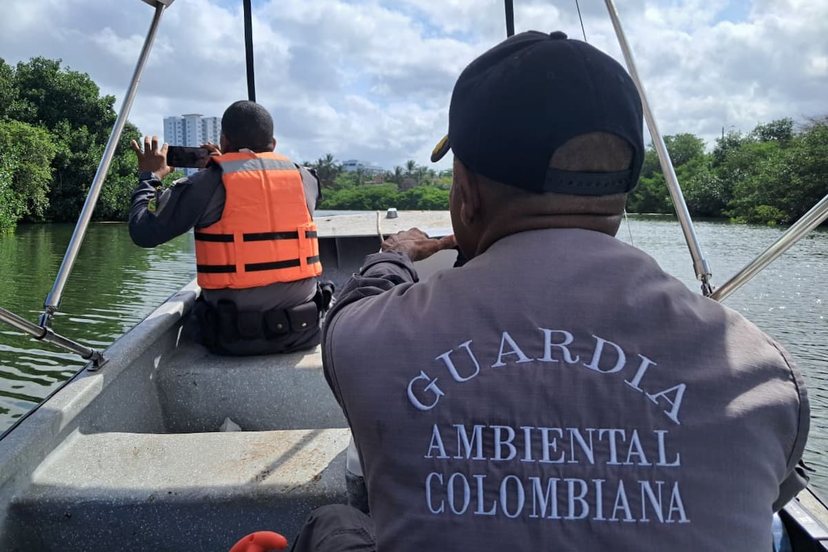 Abren convocatoria para ser Guardia Ambiental Voluntario: así puede participar