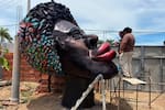 ‘Luna de bembeo’: la historia de la escultura que brillará en Tierra Baja