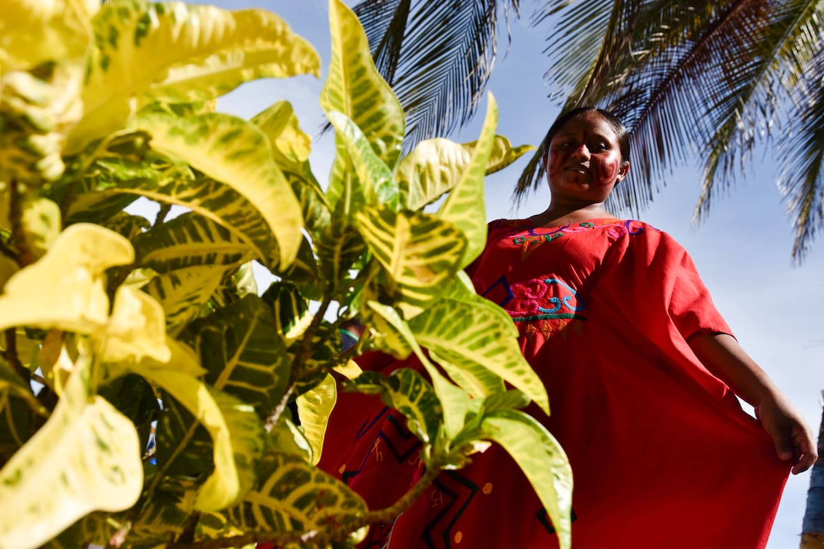 La Guajira recibirá millonaria inversión para fortalecer el agro. // Foto: Colprensa - Cristian Bayona.