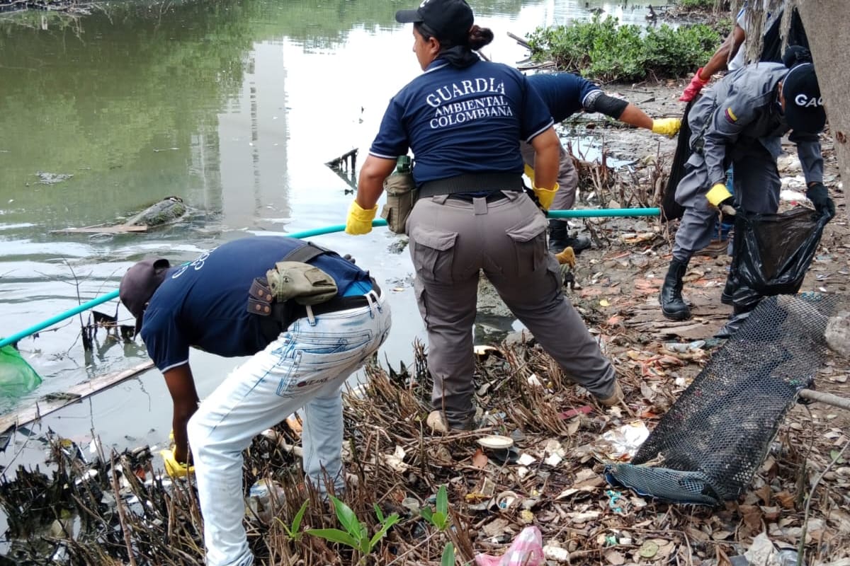 Cartagena busca voluntarios para la Guardia Ambiental: fecha, lugar y requisitos