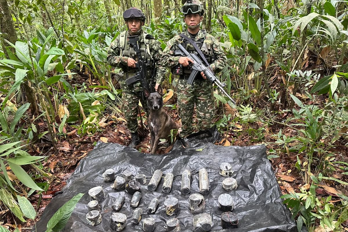 Lo que hallaron tropas del Ejército en el departamento de Arauca