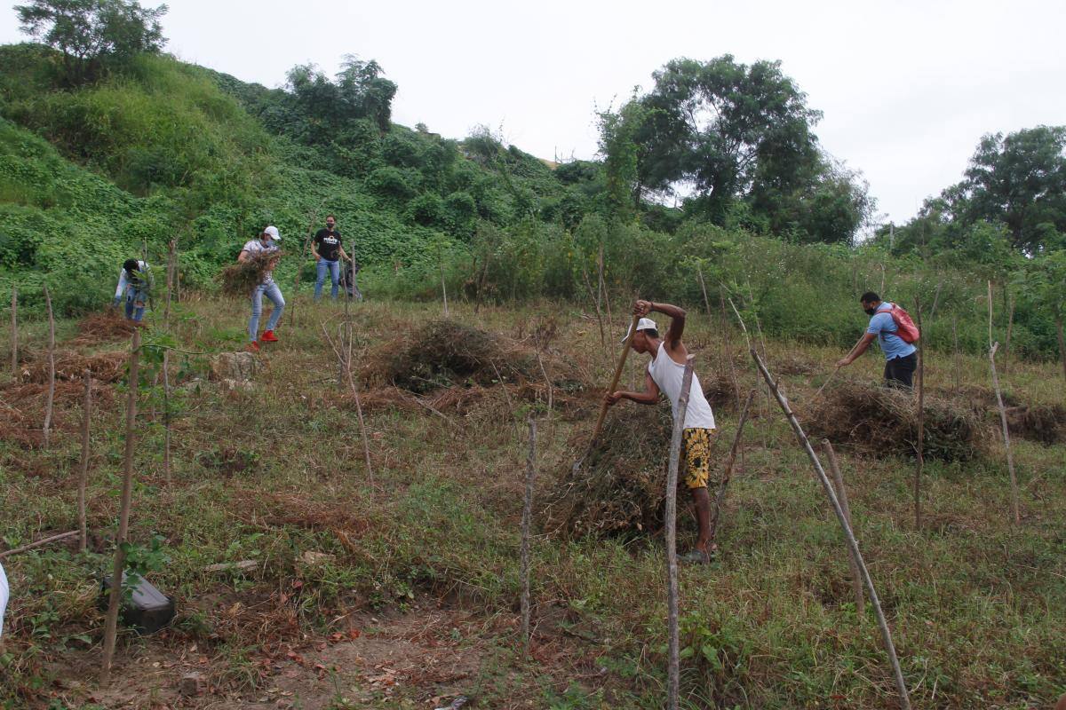 Realizan jornada de limpieza en la Loma del Marión
