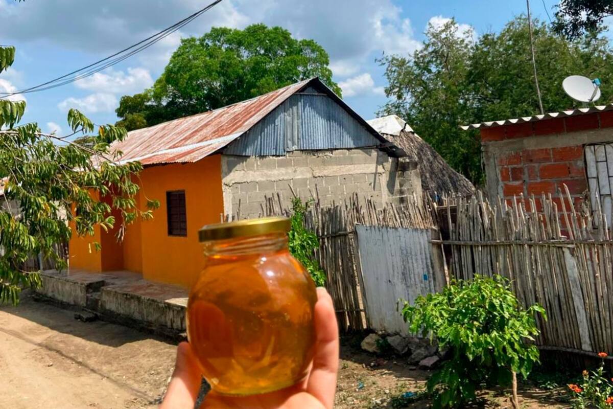 Video: Miel, lo dulce de El Salado