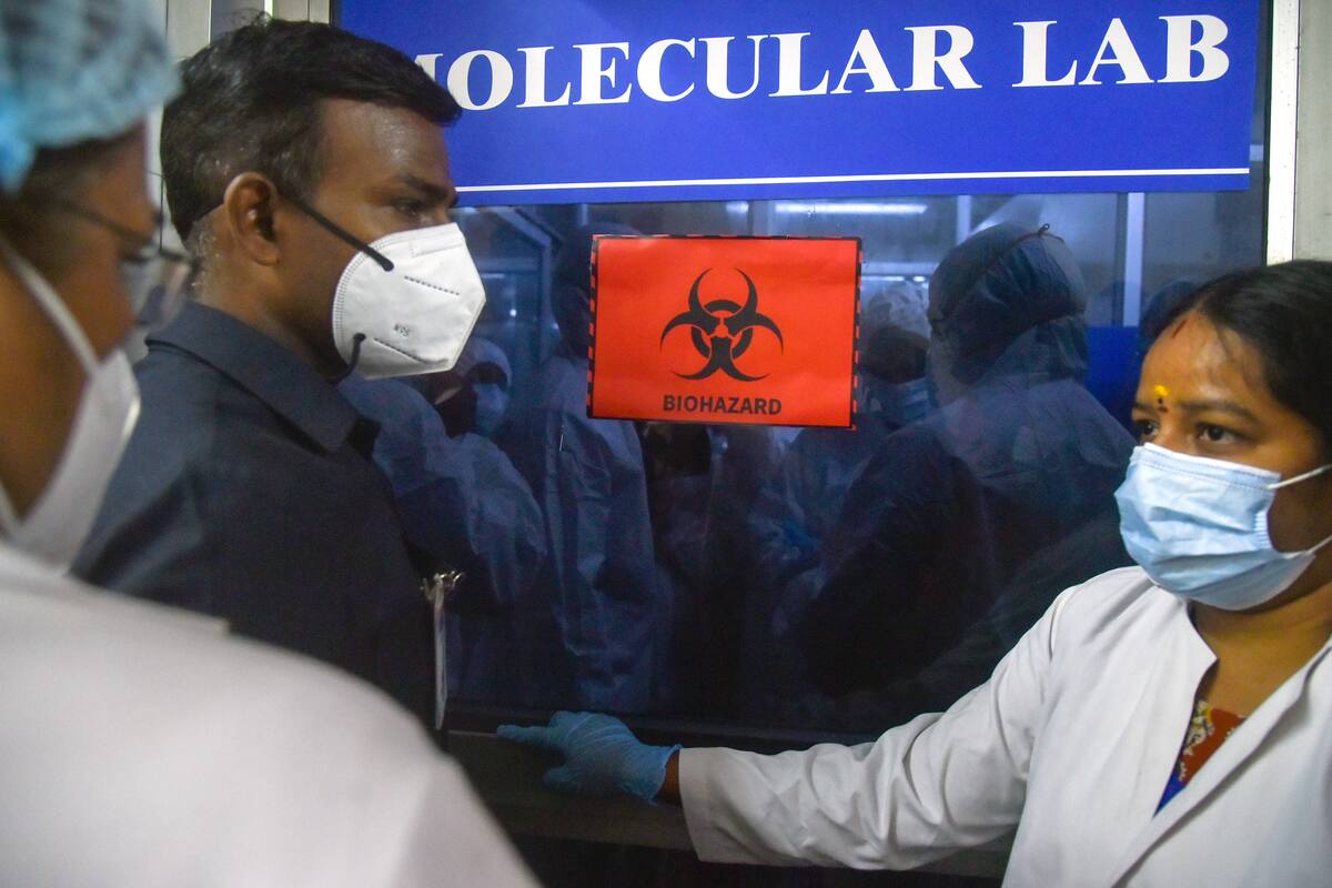 Virus Nipah en India: la OMS califica como bajo el riesgo de propagación