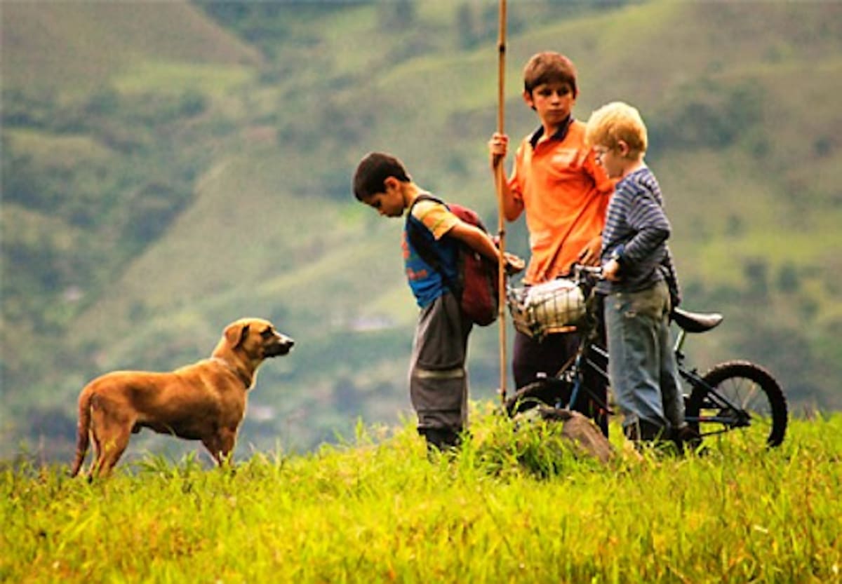 La película colombiana Los colores de la montaña fue elegida para participar en el Festival de Cine Latino de Los Ángeles, Estados Unidos. ARCHIVO