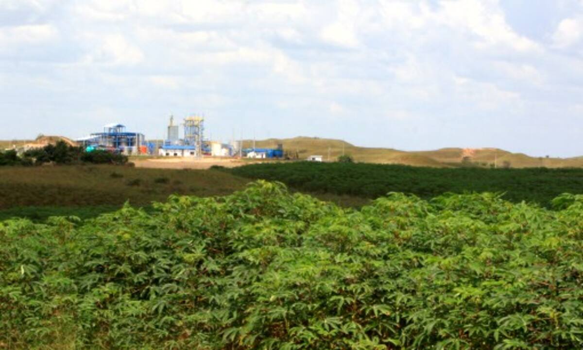 Planta de etanol en Puerto López, Meta.