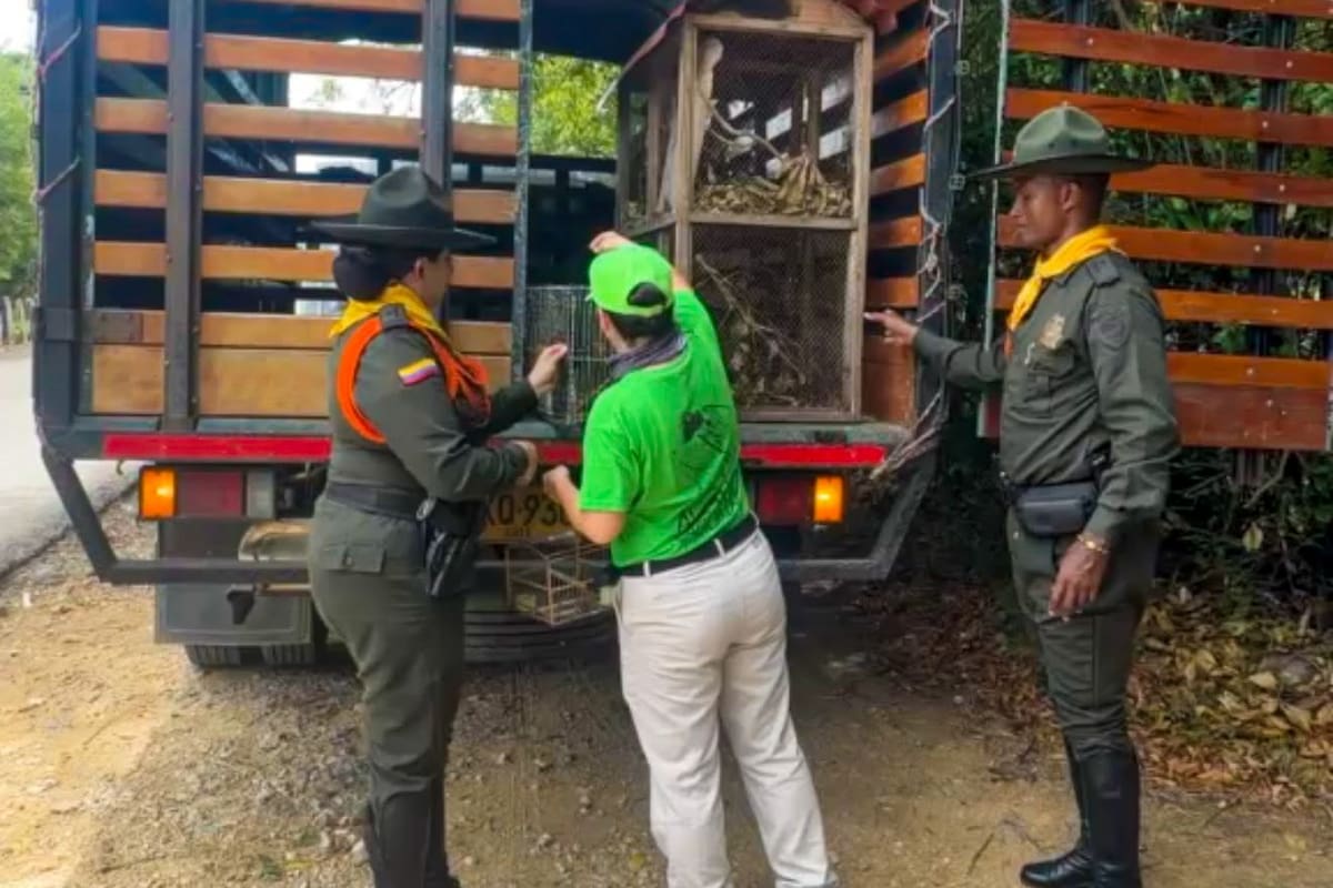 Policía y EPA reubican más de 100 animales silvestres en Cartagena