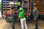 Policía y EPA reubican más de 100 animales silvestres en Cartagena