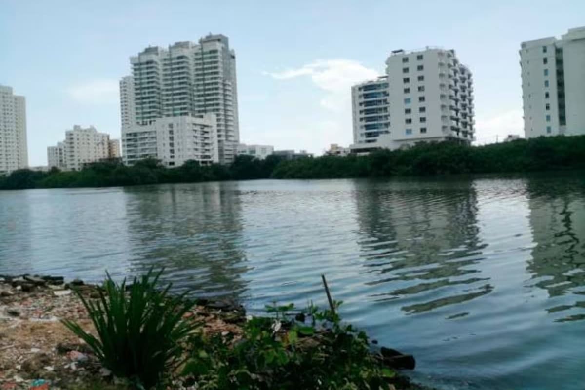 EPA contrata con Edurbe limpieza de manglares en cuerpos de agua
