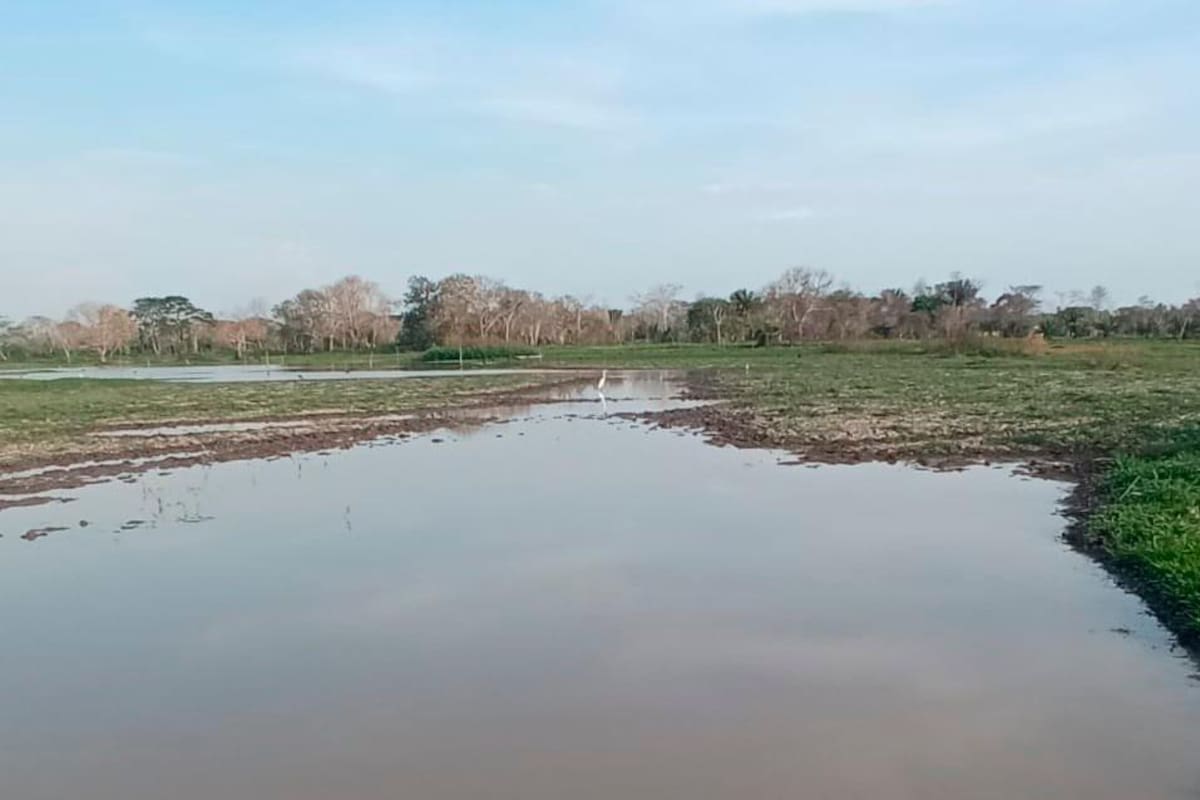 Piden intervención de caño Mono, en Margarita, para evitar inundaciones
