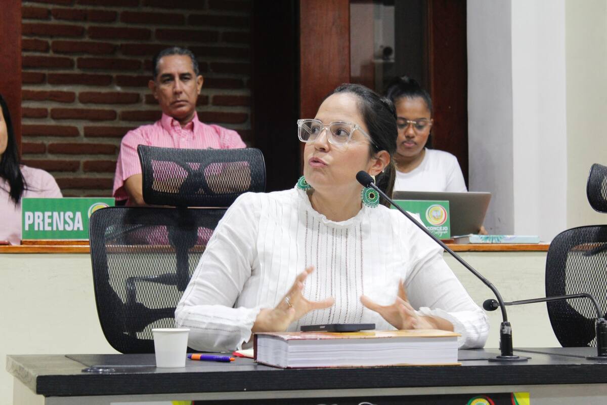 Laura Diaz, concejal del partido Verde en su intervención en concejo.//Foto: cortesía.