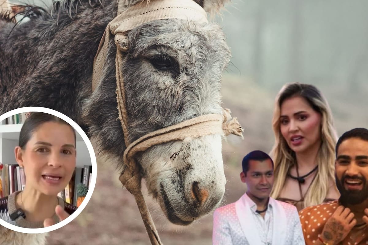 Senadora Andrea Padilla señala a La casa de los famosos por posible abuso de animales