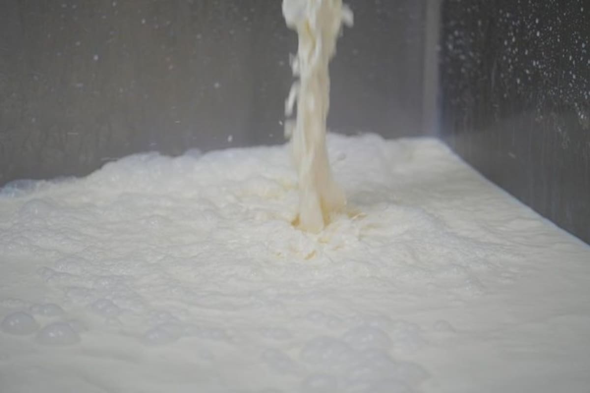 ¿Toma esa leche? Multan a empresas lecheras por usar lactosuero: estas son