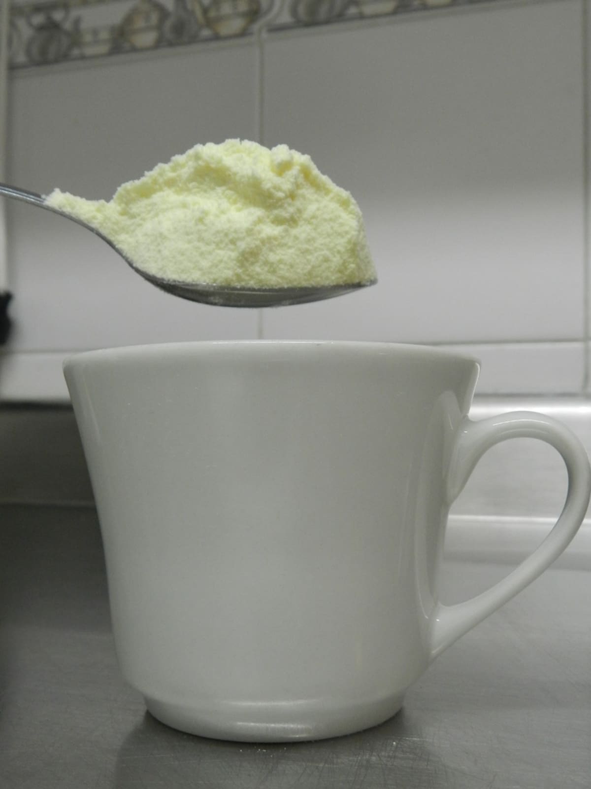 Leche en polvo
