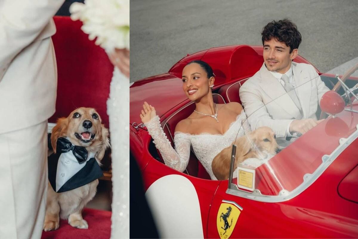 Leo, el perrito que se robó miradas en la boda de Charles Leclerc y Alexandra Saint