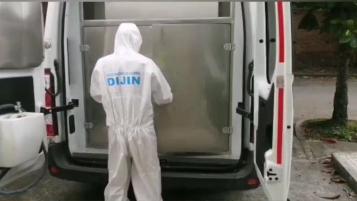 Hallan cuerpos de dos mujeres enterrados y tapados con troncos en Malambo.