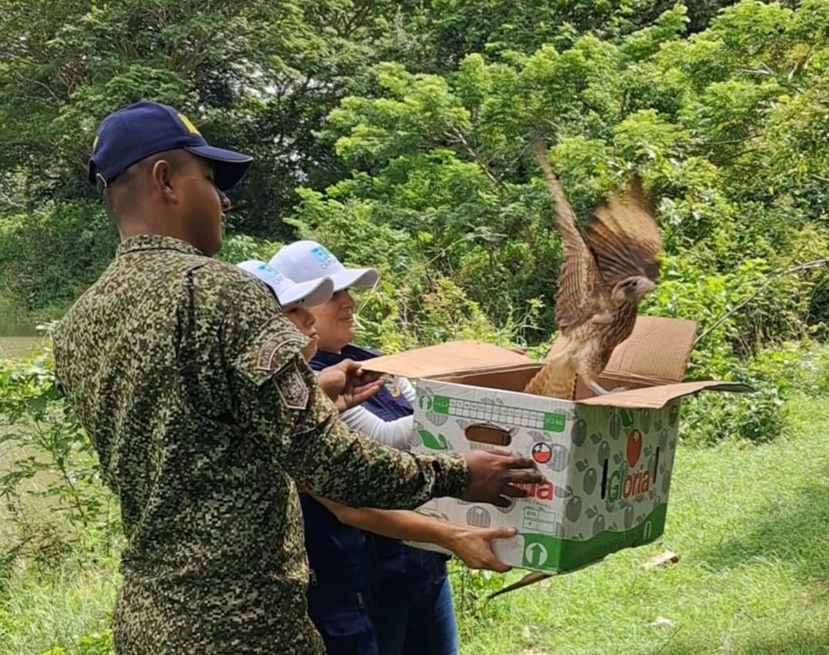 1.389 animales han sido liberados. // Cortesía - EPA