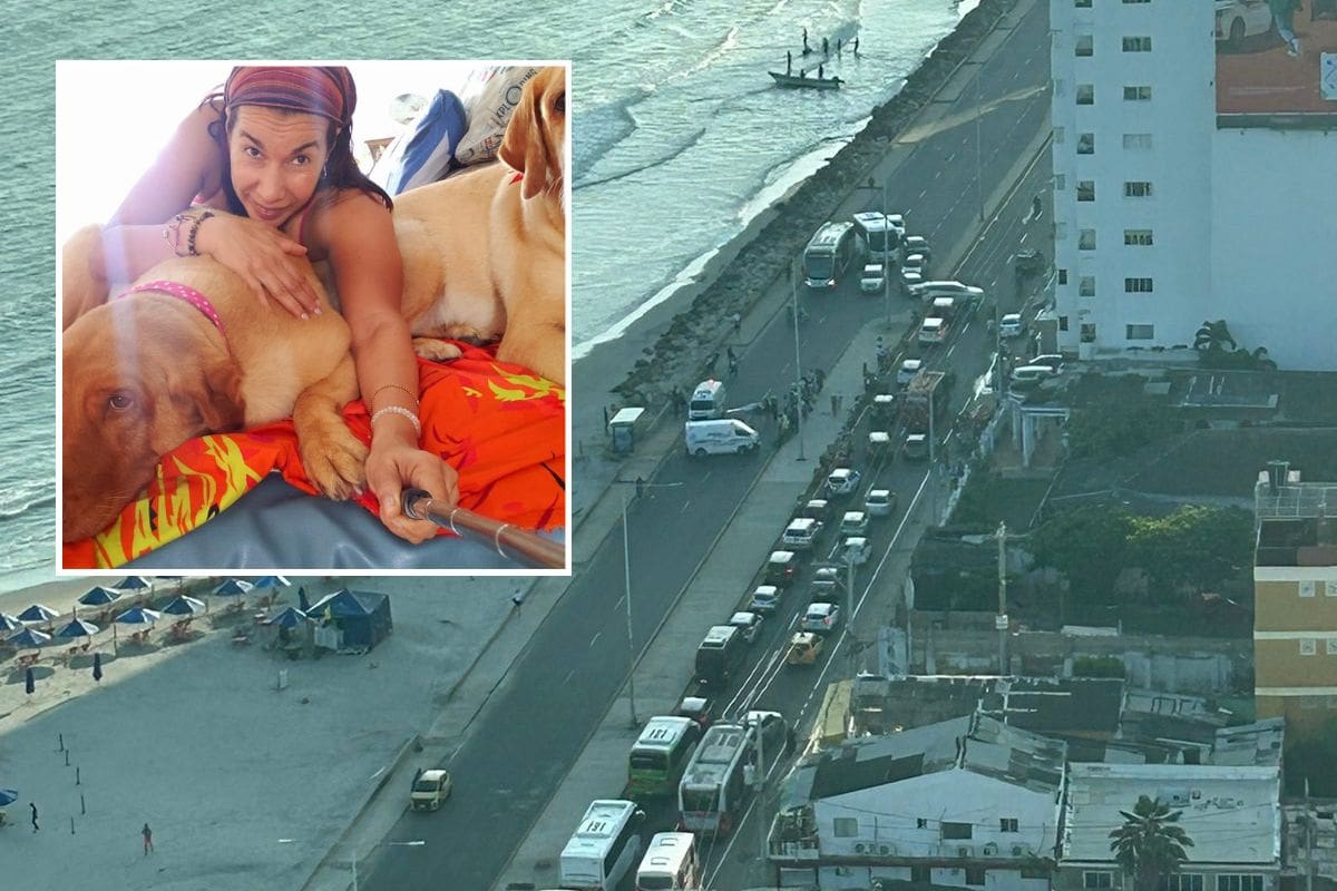 Lilian Barandica, la docente que murió arrollada por moto en Marbella