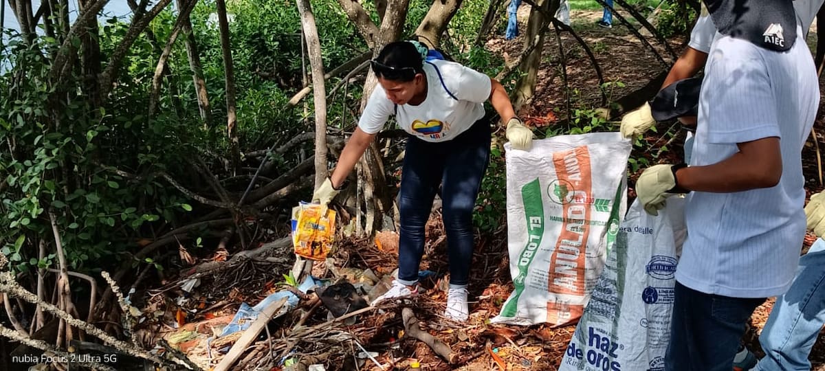 En la jornada asistieron más de 100 voluntarios. // Cortesía: Guardia Ambiental.