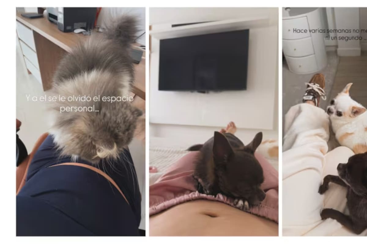 Lina Tejeiro compartió unas imágenes donde se ve su barriguita de embarazo. //Foto: IG @linatejeiro.