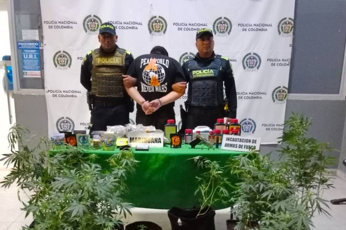 ¡Insólito! Acuden por violencia intrafamiliar y hallan cultivo de marihuana