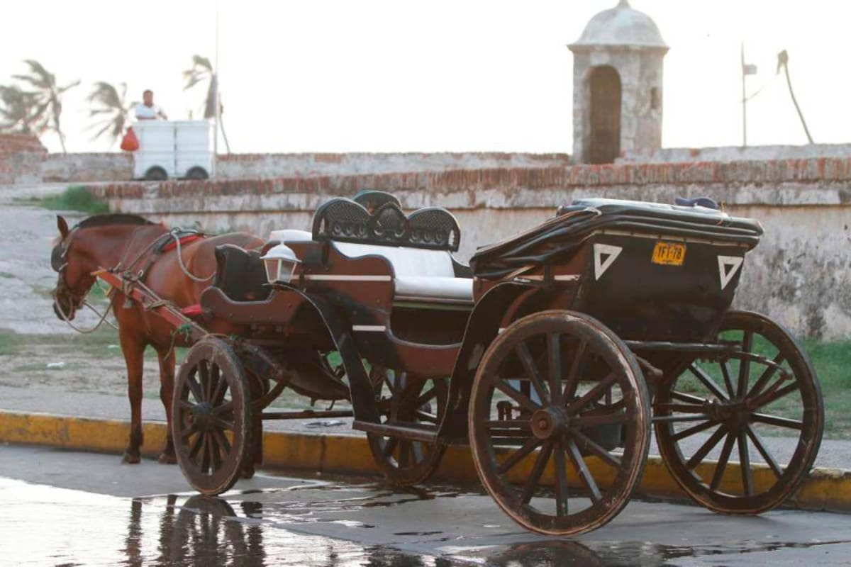 ¿Deben suspenderse los caballos cocheros en Cartagena?